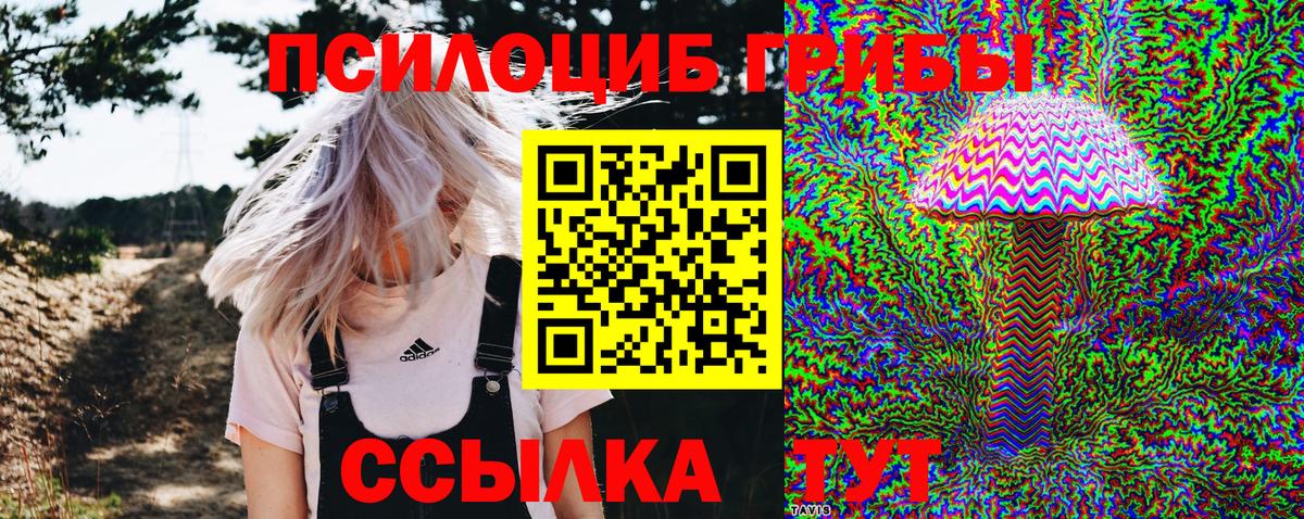 Иркутск  Галлюциногенные грибы Psilocybine cubensis  Галлюциногенные грибы прущие грибы  Вход с VPN 